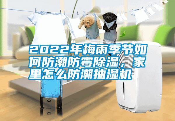 2022年梅雨季節(jié)如何防潮防霉除濕，家里怎么防潮抽濕機(jī)