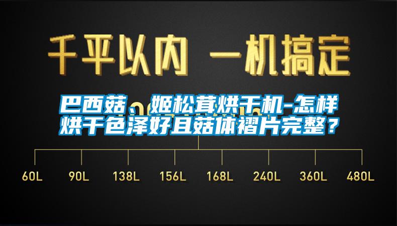 巴西菇、姬松茸烘干機-怎樣烘干色澤好且菇體褶片完整？