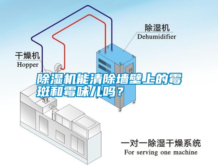 除濕機(jī)能清除墻壁上的霉斑和霉味兒?jiǎn)幔?/></p>
						    <p style=