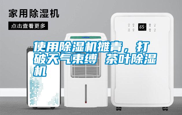 使用除濕機攤青，打破天氣束縛 茶葉除濕機