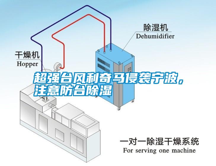 超強臺風(fēng)利奇馬侵襲寧波，注意防臺除濕