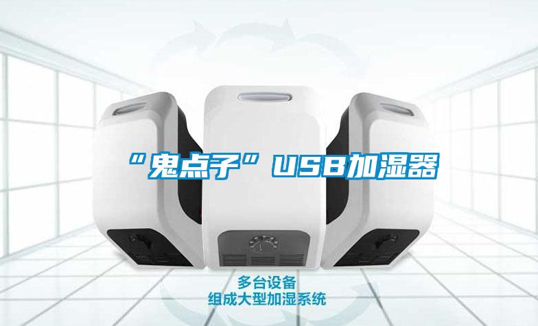 “鬼點子”USB加濕器