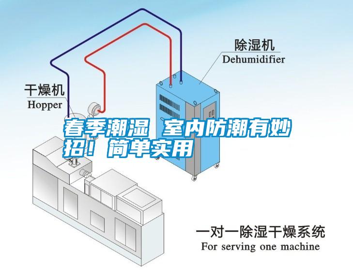 春季潮濕 室內(nèi)防潮有妙招！簡單實(shí)用