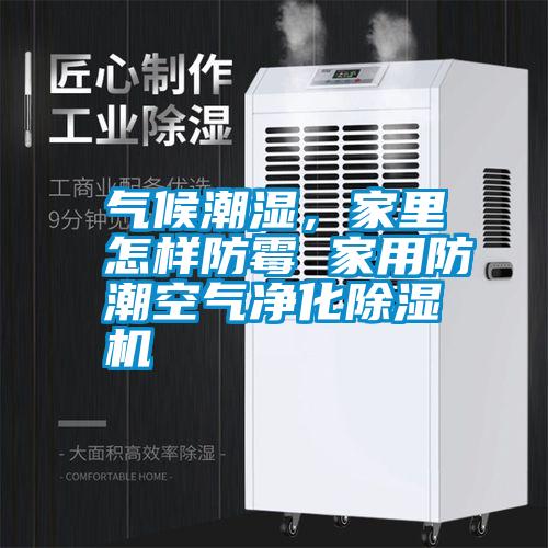 氣候潮濕，家里怎樣防霉 家用防潮空氣凈化除濕機