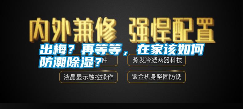 出梅？再等等，在家該如何防潮除濕？