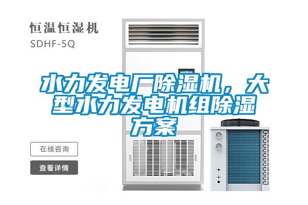 水力發(fā)電廠除濕機(jī)，大型水力發(fā)電機(jī)組除濕方案