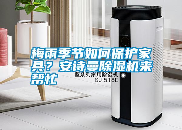 梅雨季節(jié)如何保護(hù)家具？安詩(shī)曼除濕機(jī)來(lái)幫忙