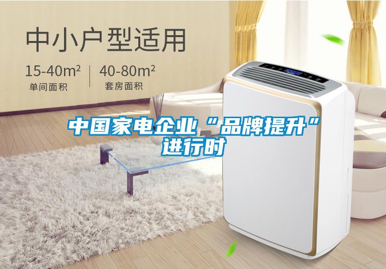 中國家電企業(yè)“品牌提升”進(jìn)行時