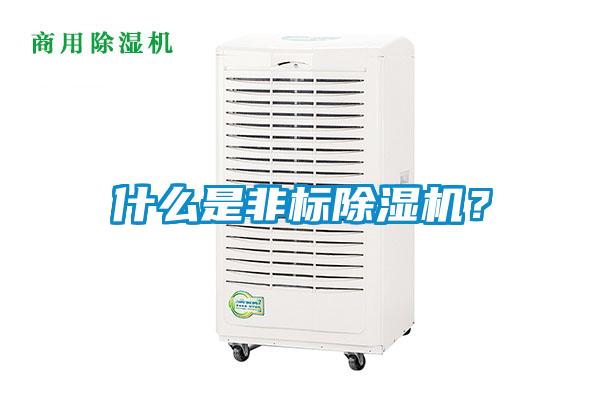 什么是非標(biāo)除濕機(jī)？