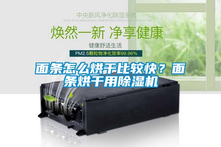 面條怎么烘干比較快？面條烘干用除濕機(jī)