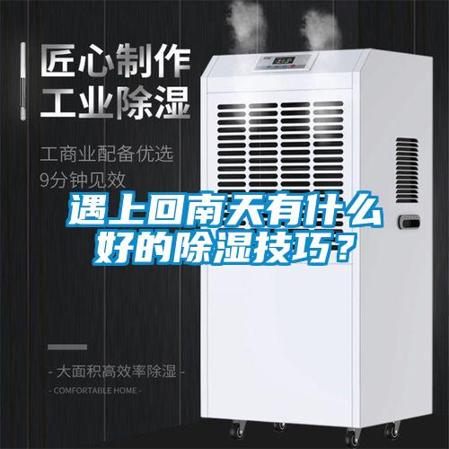 遇上回南天有什么好的除濕技巧？