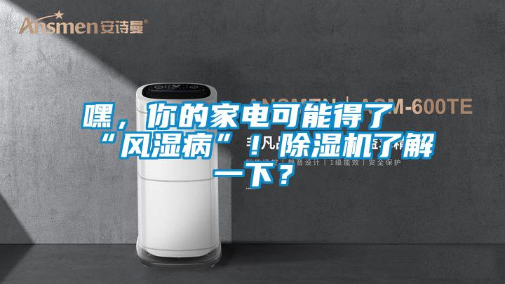 嘿，你的家電可能得了“風(fēng)濕病”！除濕機(jī)了解一下？