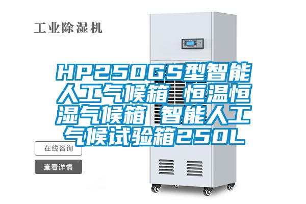 HP250GS型智能人工氣候箱 恒溫恒濕氣候箱 智能人工氣候試驗箱250L