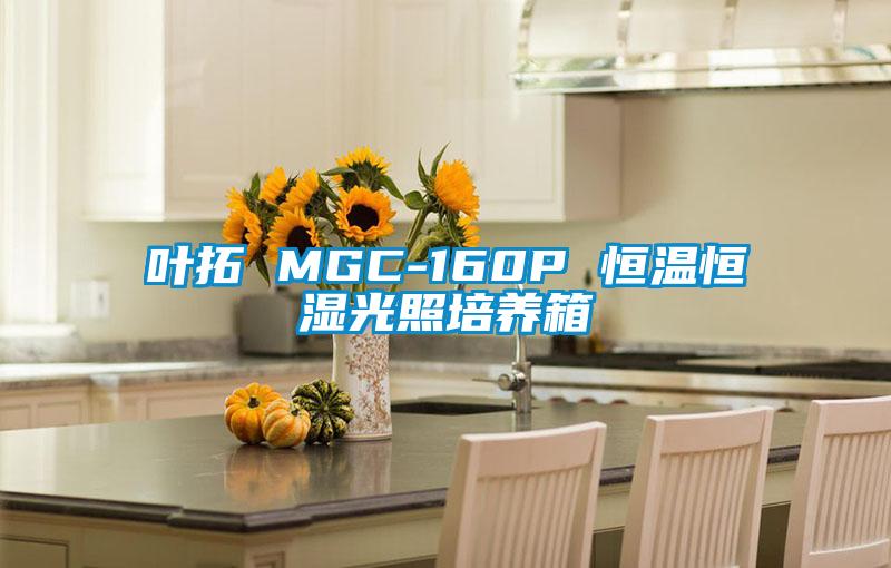 葉拓 MGC-160P 恒溫恒濕光照培養(yǎng)箱