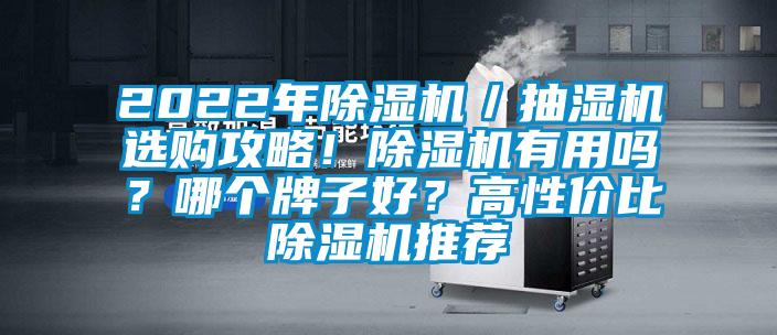 2022年除濕機(jī)／抽濕機(jī)選購(gòu)攻略！除濕機(jī)有用嗎？哪個(gè)牌子好？高性價(jià)比除濕機(jī)推薦