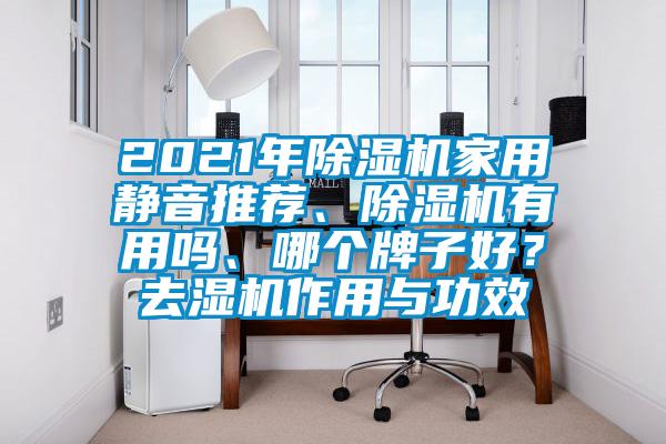 2021年除濕機家用靜音推薦、除濕機有用嗎、哪個牌子好？去濕機作用與功效