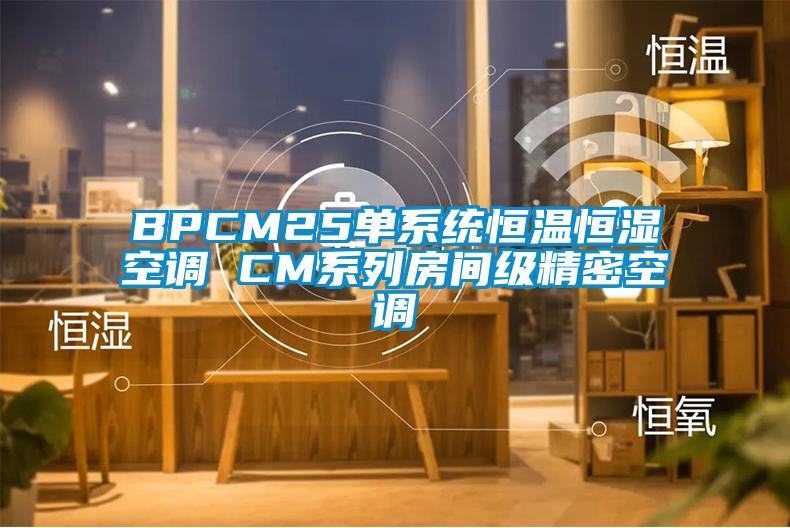 BPCM25單系統(tǒng)恒溫恒濕空調(diào) CM系列房間級(jí)精密空調(diào)