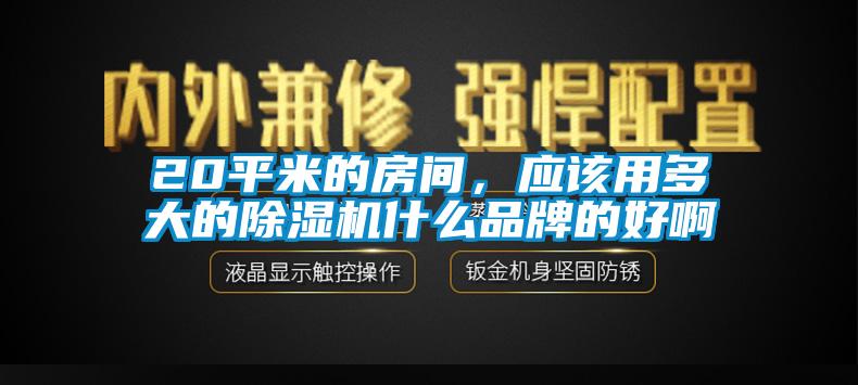 20平米的房間，應(yīng)該用多大的除濕機(jī)什么品牌的好啊