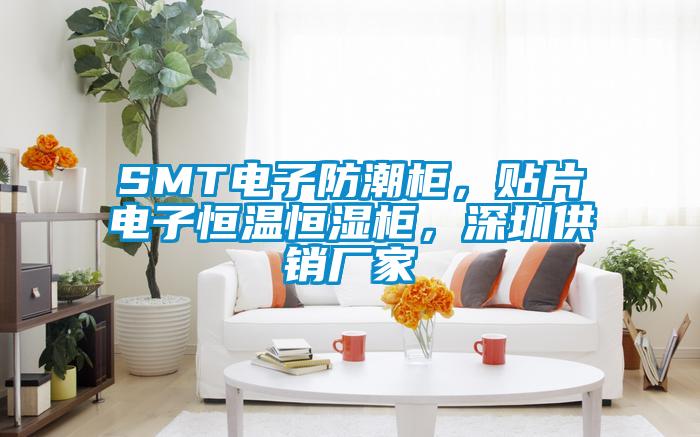 SMT電子防潮柜，貼片電子恒溫恒濕柜，深圳供銷廠家