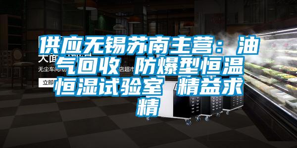 供應(yīng)無錫蘇南主營：油氣回收 防爆型恒溫恒濕試驗(yàn)室 精益求精