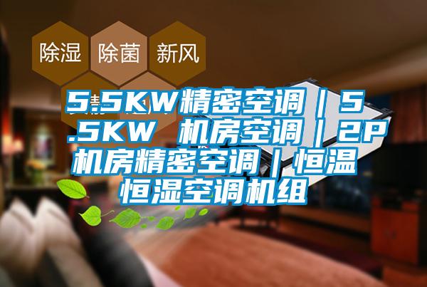 5.5KW精密空調(diào)｜5.5KW 機房空調(diào)｜2P機房精密空調(diào)｜恒溫恒濕空調(diào)機組