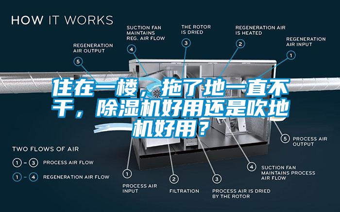 住在一樓，拖了地一直不干，除濕機好用還是吹地機好用？