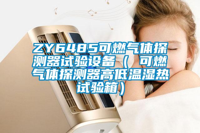 ZY6485可燃?xì)怏w探測(cè)器試驗(yàn)設(shè)備（ 可燃?xì)怏w探測(cè)器高低溫濕熱試驗(yàn)箱）