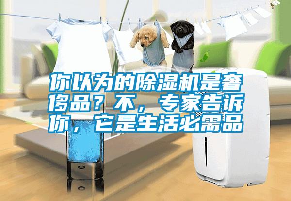 你以為的除濕機是奢侈品？不，專家告訴你，它是生活必需品