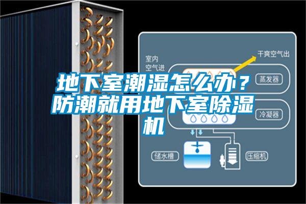 地下室潮濕怎么辦？防潮就用地下室除濕機(jī)