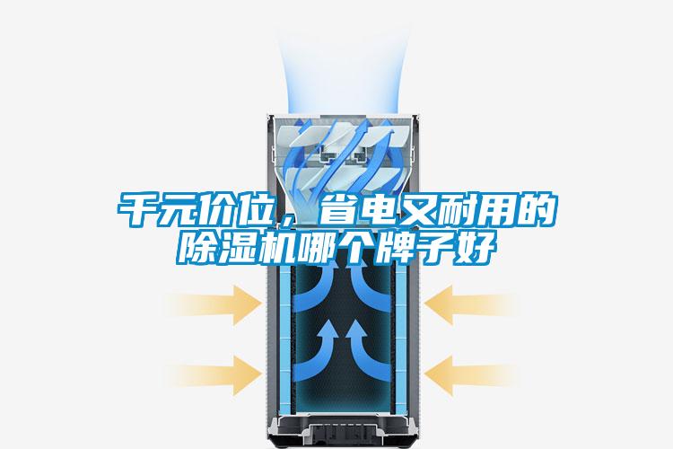 千元價(jià)位，省電又耐用的除濕機(jī)哪個(gè)牌子好