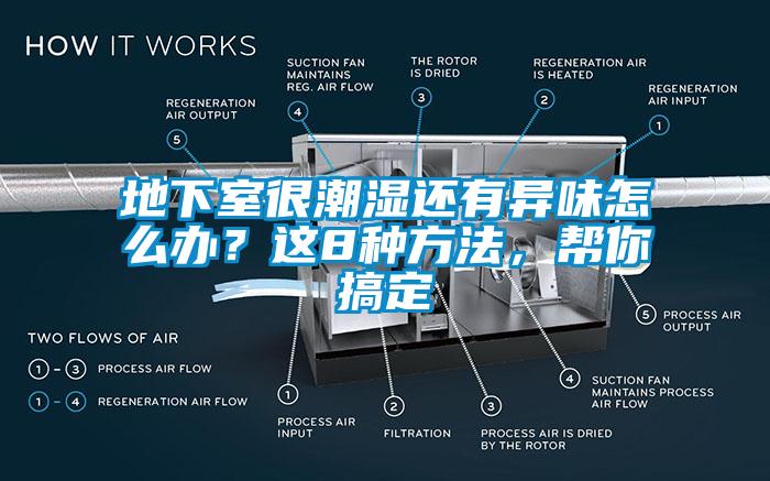 地下室很潮濕還有異味怎么辦？這8種方法，幫你搞定