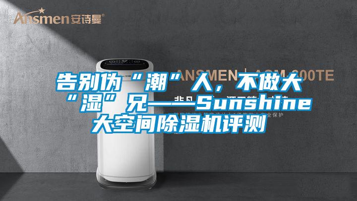 告別偽“潮”人，不做大“濕”兄——Sunshine大空間除濕機評測