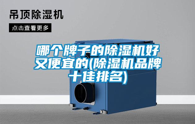 哪個牌子的除濕機好又便宜的(除濕機品牌十佳排名)