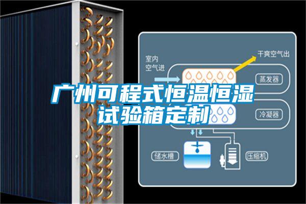 廣州可程式恒溫恒濕試驗(yàn)箱定制