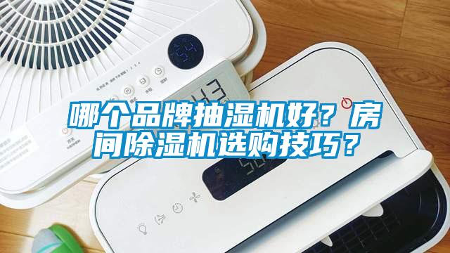 哪個(gè)品牌抽濕機(jī)好？房間除濕機(jī)選購(gòu)技巧？