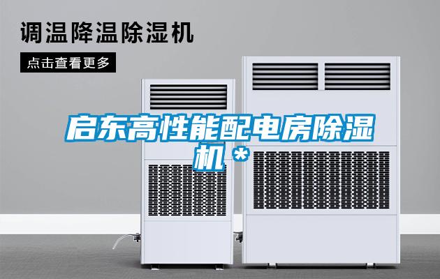 啟東高性能配電房除濕機＊