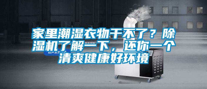 家里潮濕衣物干不了？除濕機了解一下，還你一個清爽健康好環(huán)境