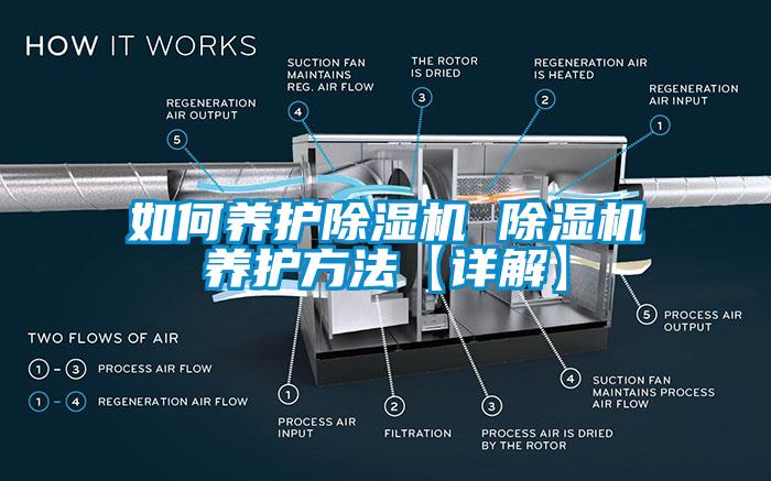 如何養(yǎng)護除濕機 除濕機養(yǎng)護方法【詳解】