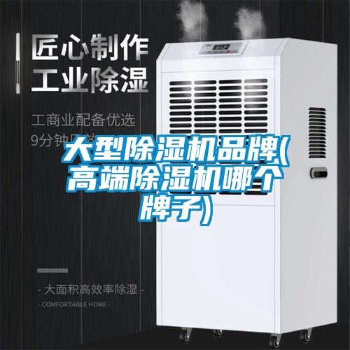 大型除濕機品牌(高端除濕機哪個牌子)