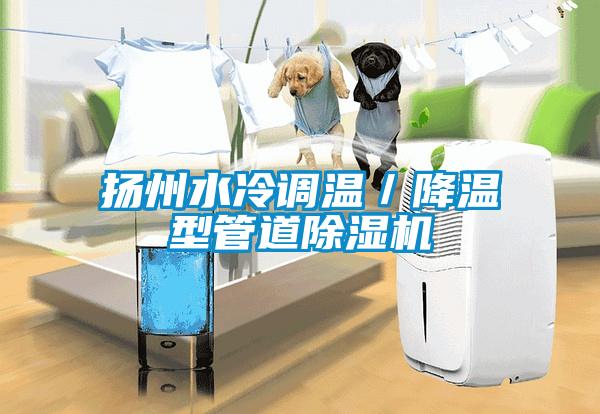 揚州水冷調溫／降溫型管道除濕機