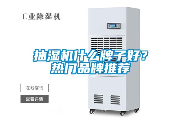 抽濕機(jī)什么牌子好？熱門品牌推薦