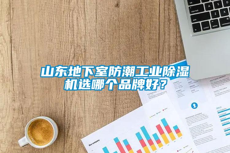 山東地下室防潮工業(yè)除濕機選哪個品牌好？