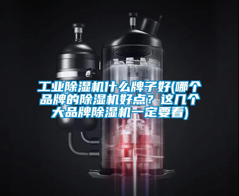 工業(yè)除濕機(jī)什么牌子好(哪個(gè)品牌的除濕機(jī)好點(diǎn)？這幾個(gè)大品牌除濕機(jī)一定要看)