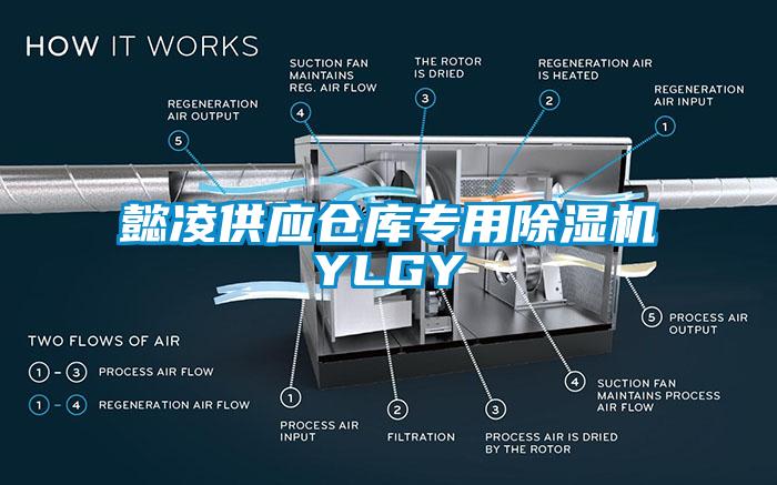 懿凌供應(yīng)倉(cāng)庫(kù)專(zhuān)用除濕機(jī)YLGY