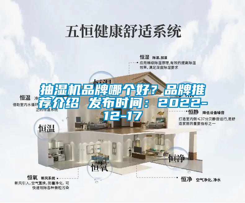 抽濕機品牌哪個好？品牌推薦介紹 發(fā)布時間：2022-12-17