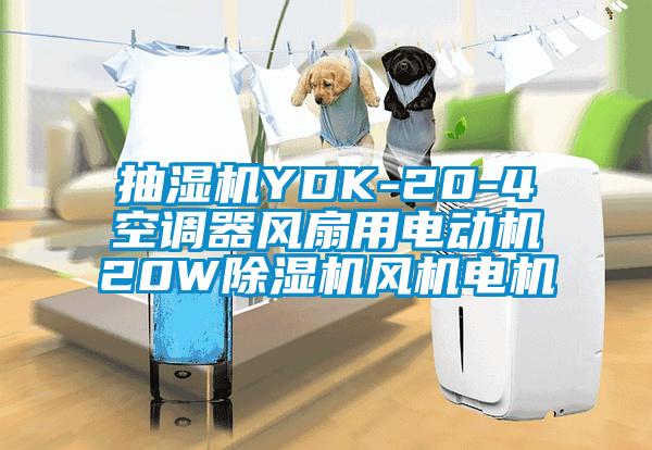 抽濕機(jī)YDK-20-4空調(diào)器風(fēng)扇用電動(dòng)機(jī)20W除濕機(jī)風(fēng)機(jī)電機(jī)