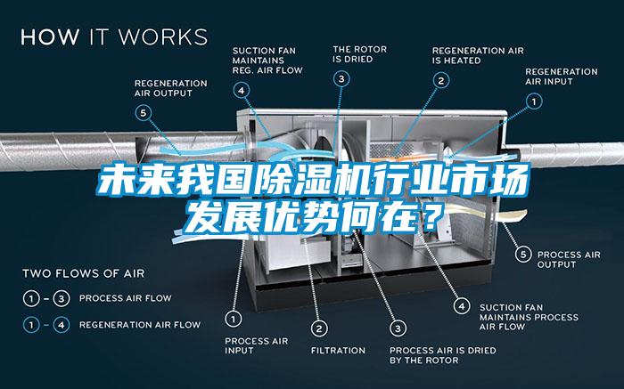 未來我國除濕機(jī)行業(yè)市場發(fā)展優(yōu)勢何在？