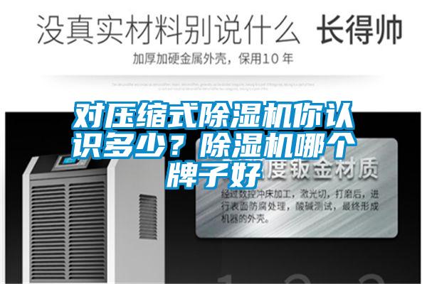 對壓縮式除濕機你認識多少？除濕機哪個牌子好