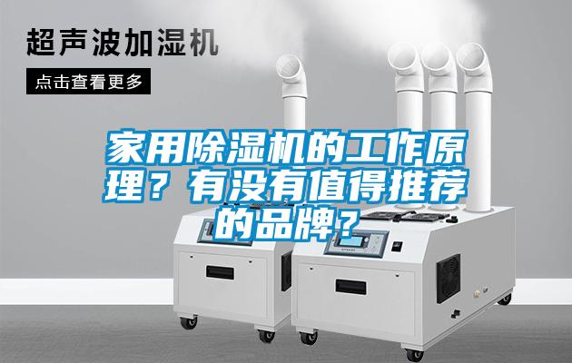 家用除濕機的工作原理？有沒有值得推薦的品牌？