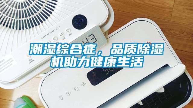 潮濕綜合癥，品質(zhì)除濕機助力健康生活